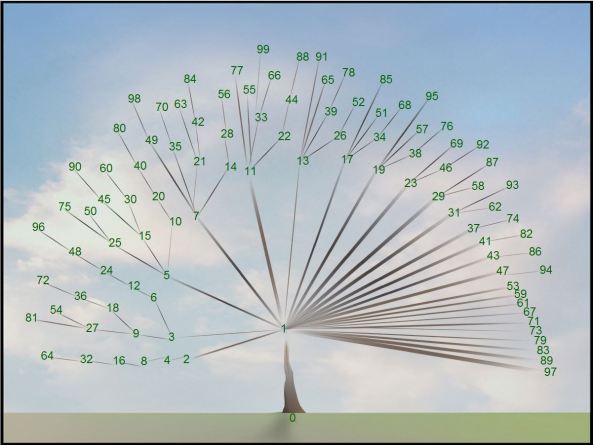 Jeffrey Ventrella’s Composite Number Tree